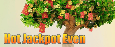 VIP အထူးအခွင့်အရေး promotional image